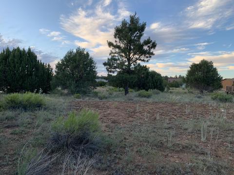 2227 Meadow Ln, Overgaard, AZ 85933 photo 10