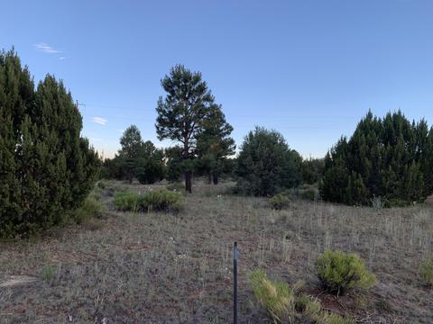 2227 Meadow Ln, Overgaard, AZ 85933 photo 16