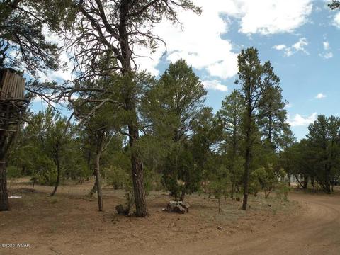 2055 Chevelon Rd, Overgaard, AZ 85933 photo 22