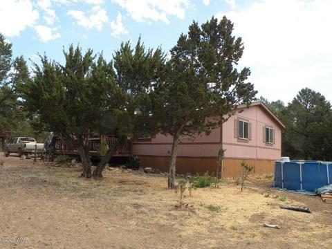 2055 Chevelon Rd, Overgaard, AZ 85933 photo 2