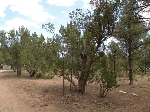 2055 Chevelon Rd, Overgaard, AZ 85933 photo 23