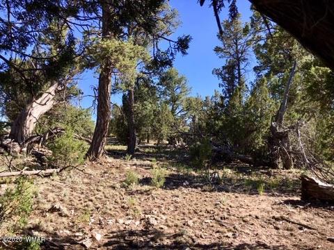 3632 Bobcat Trl, Overgaard, AZ 85933 photo 3