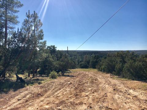 3632 Bobcat Trl, Overgaard, AZ 85933 photo 1