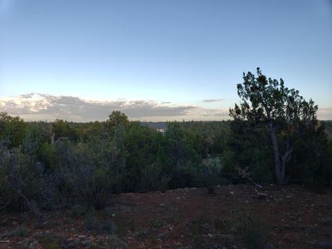 2976 E Lookout Ln, Overgaard, AZ 85933 photo 6