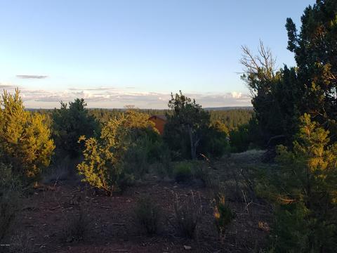 2976 E Lookout Ln, Overgaard, AZ 85933 photo 9
