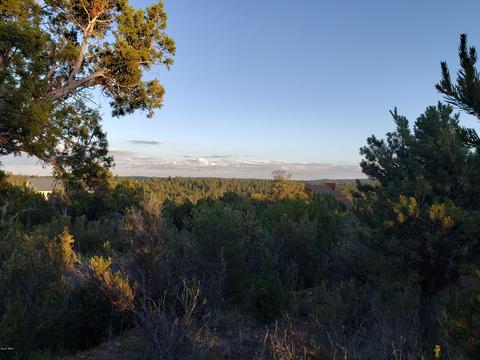 2976 E Lookout Ln, Overgaard, AZ 85933 photo 2