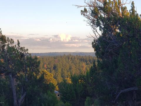 2976 E Lookout Ln, Overgaard, AZ 85933 photo 10