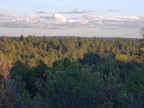 2976 E Lookout Ln, Overgaard, AZ 85933 photo 1
