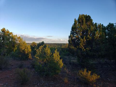 2976 E Lookout Ln, Overgaard, AZ 85933 photo 8