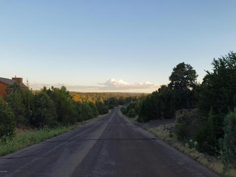 2976 E Lookout Ln, Overgaard, AZ 85933 photo 3