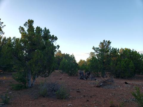 2976 E Lookout Ln, Overgaard, AZ 85933 photo 7
