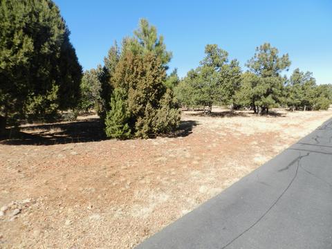 2876 Constellation Ln, Overgaard, AZ 85933 photo 2
