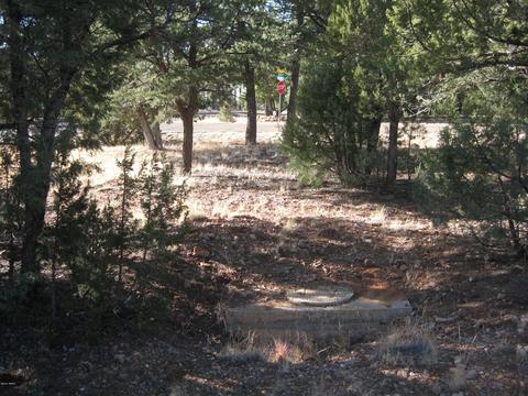 2876 Constellation Ln, Overgaard, AZ 85933 photo 7