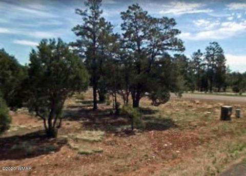 2876 Constellation Ln, Overgaard, AZ 85933 photo 5