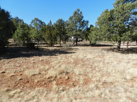 2876 Constellation Ln, Overgaard, AZ 85933 photo 13