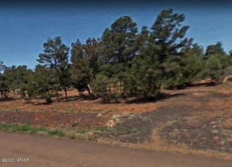 2876 Constellation Ln, Overgaard, AZ 85933 photo 4