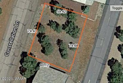 2876 Constellation Ln, Overgaard, AZ 85933 photo 10