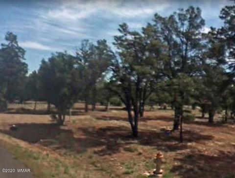 2876 Constellation Ln, Overgaard, AZ 85933 photo 6