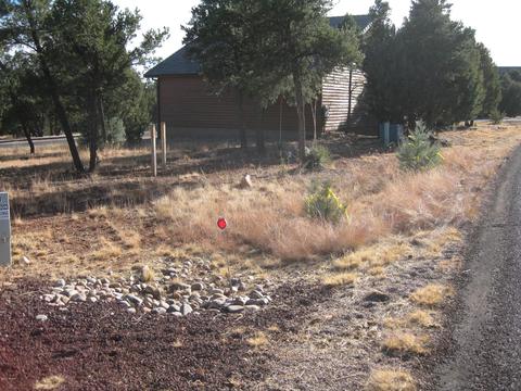 2876 Constellation Ln, Overgaard, AZ 85933 photo 14