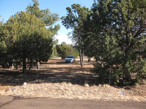 2876 Constellation Ln, Overgaard, AZ 85933 photo 3