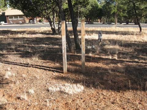 2876 Constellation Ln, Overgaard, AZ 85933 photo 12