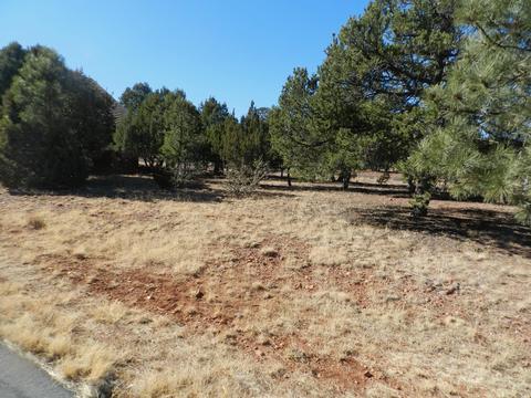 2876 Constellation Ln, Overgaard, AZ 85933 photo 15