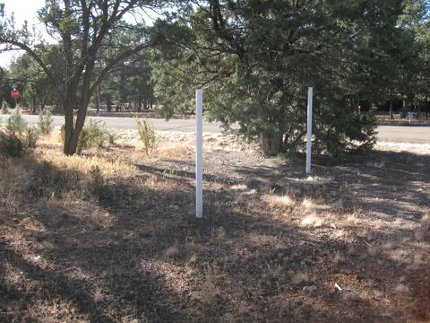 2876 Constellation Ln, Overgaard, AZ 85933 photo 8
