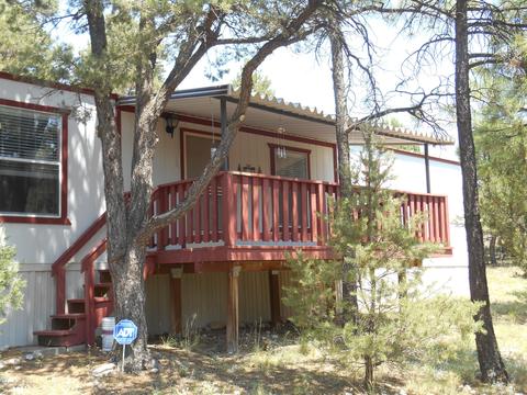 1980 Bradley Ln, Overgaard, AZ 85933 photo 1