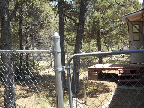 1980 Bradley Ln, Overgaard, AZ 85933 photo 6