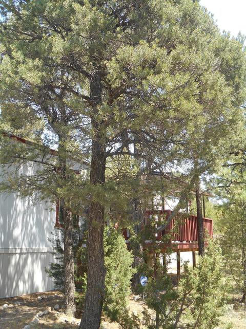 1980 Bradley Ln, Overgaard, AZ 85933 photo 3