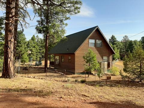2823 Pine Hill Dr, Overgaard, AZ 85933 photo 38