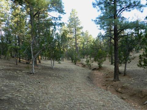 2335 Puma Cir, Overgaard, AZ 85933 photo 13