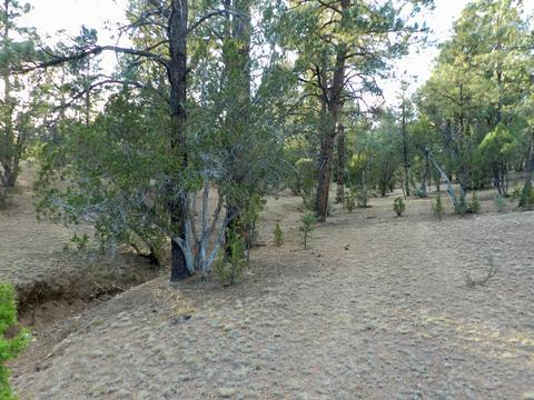 2335 Puma Cir, Overgaard, AZ 85933 photo 11