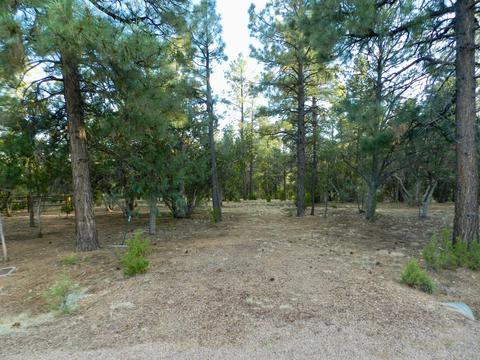2335 Puma Cir, Overgaard, AZ 85933 photo 5