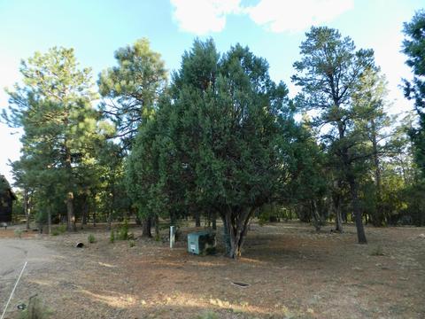 2335 Puma Cir, Overgaard, AZ 85933 photo 2