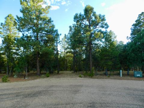 2335 Puma Cir, Overgaard, AZ 85933 photo 4