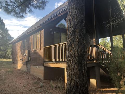 2756 Bear Trl, Overgaard, AZ 85933 photo 3