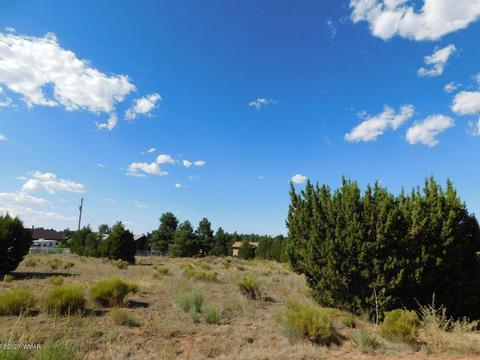2236 Meadow Ln, Overgaard, AZ 85933 photo 3