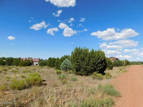 2236 Meadow Ln, Overgaard, AZ 85933 photo 6