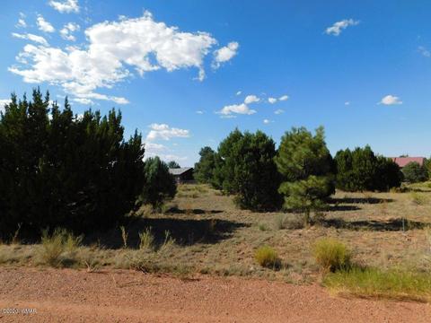 2236 Meadow Ln, Overgaard, AZ 85933 photo 5