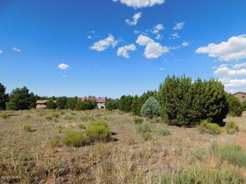 2236 Meadow Ln, Overgaard, AZ 85933 photo 1