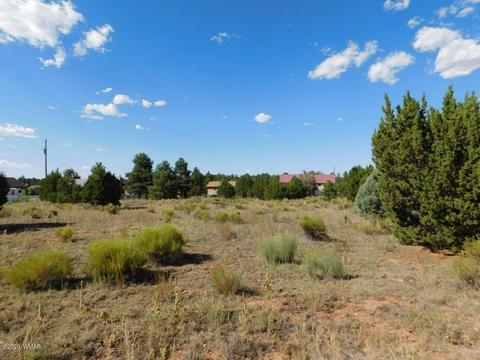 2236 Meadow Ln, Overgaard, AZ 85933 photo 2