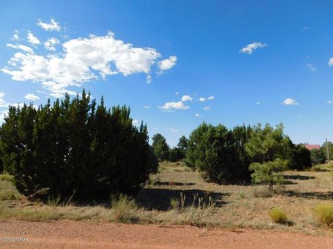 2236 Meadow Ln, Overgaard, AZ 85933 photo 4