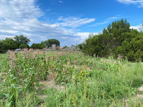 583 W School Bus Rd, Eagar, AZ 85925 photo 20
