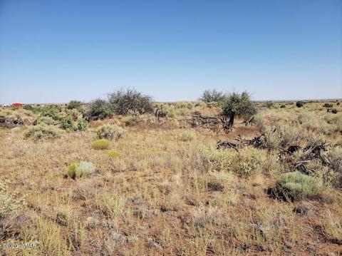 8749 E Concho Hwy, Snowflake, AZ 85937 photo 20
