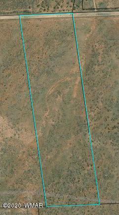 8749 E Concho Hwy, Snowflake, AZ 85937 photo 26