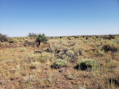 8749 E Concho Hwy, Snowflake, AZ 85937 photo 21