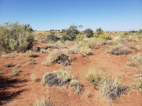 8749 E Concho Hwy, Snowflake, AZ 85937 photo 12