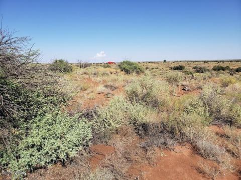 8749 E Concho Hwy, Snowflake, AZ 85937 photo 15