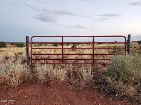 8749 E Concho Hwy, Snowflake, AZ 85937 photo 25